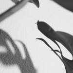 gallery test